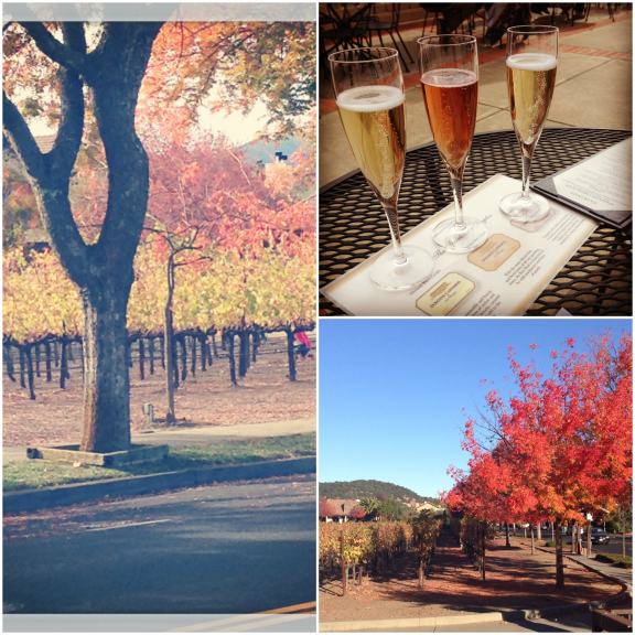 Napa in Autumn