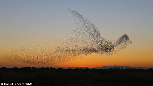 47AC96A600000578-0-image-a-41_1514821490941